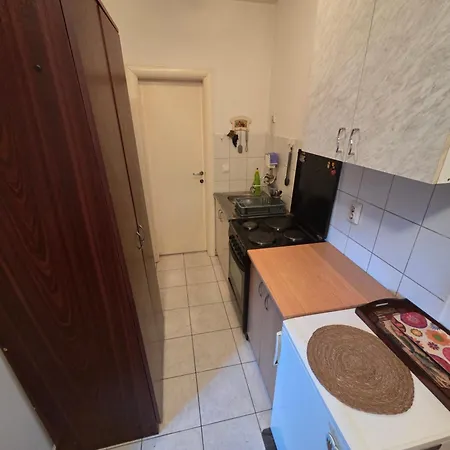 Za Exit 2025 * Novi Sad