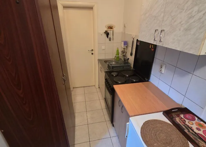 Za Exit 2025 * נובי סאד