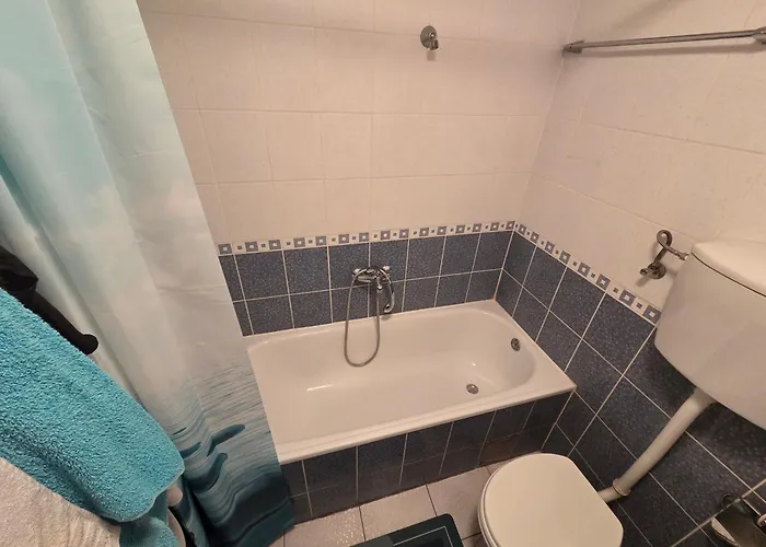 Za Exit 2025 דירה נובי סאד